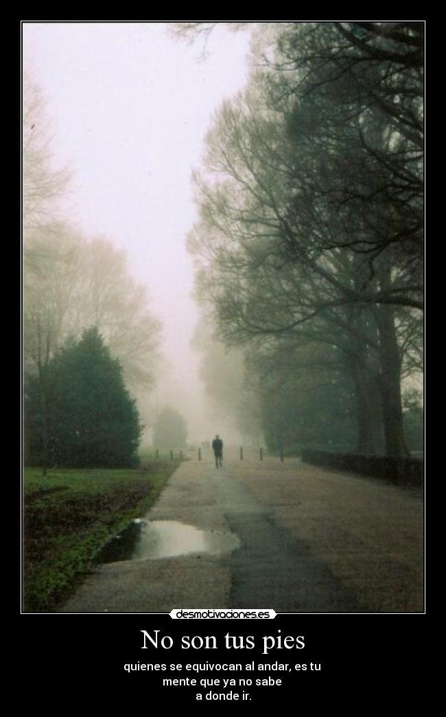 No son tus pies - quienes se equivocan al andar, es tu 
mente que ya no sabe 
a donde ir.