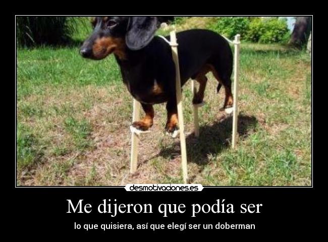 Me dijeron que podía ser - 