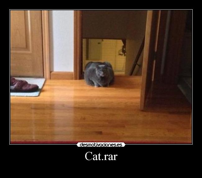 Cat.rar - 