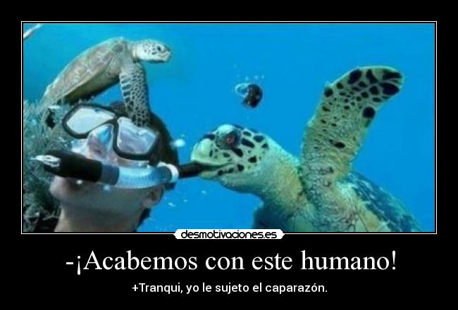 -¡Acabemos con este humano! - +Tranqui, yo le sujeto el caparazón.