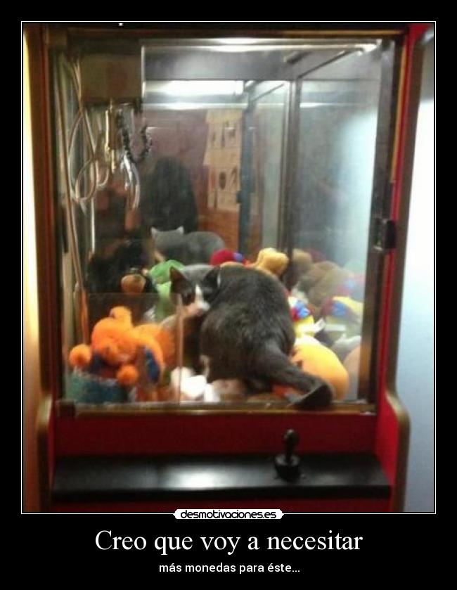 Creo que voy a necesitar - 