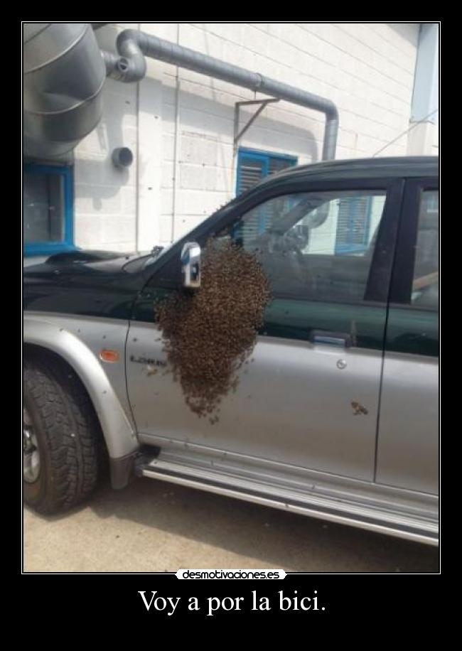Voy a por la bici. - 