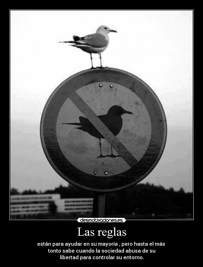 Las reglas - están para ayudar en su mayoría , pero hasta el más 
tonto sabe cuando la sociedad abusa de su
libertad para controlar su entorno.