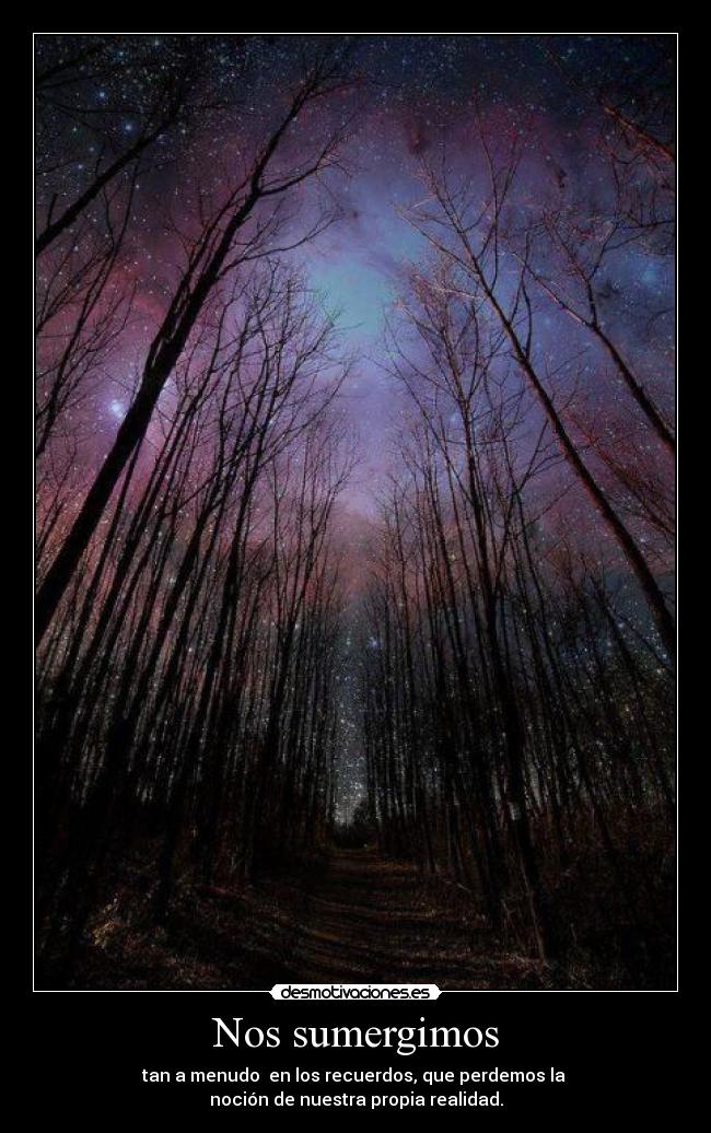 Nos sumergimos - tan a menudo  en los recuerdos, que perdemos la 
noción de nuestra propia realidad.
