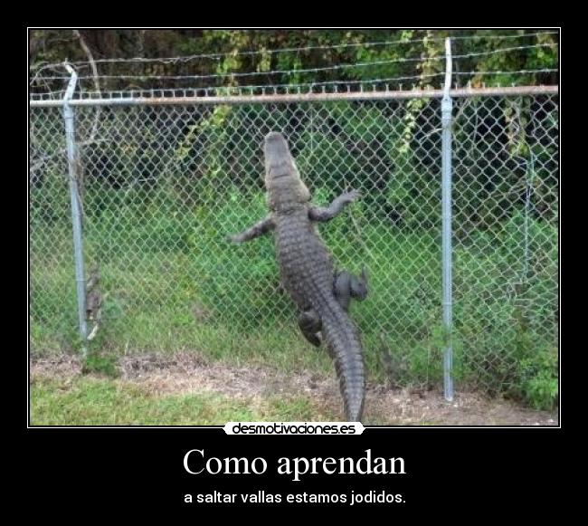 carteles cocodrilos vallas drespacial desmotivaciones