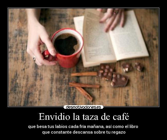 Envidio la taza de café - que besa tus labios cada fría mañana, así como el libro
que constante descansa sobre tu regazo