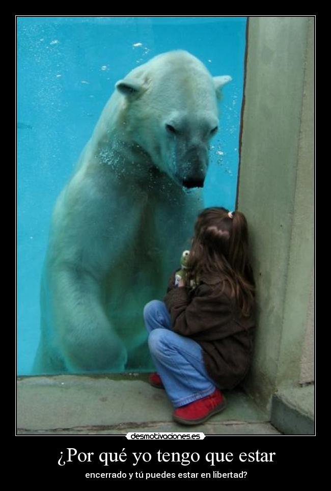 ¿Por qué yo tengo que estar - 