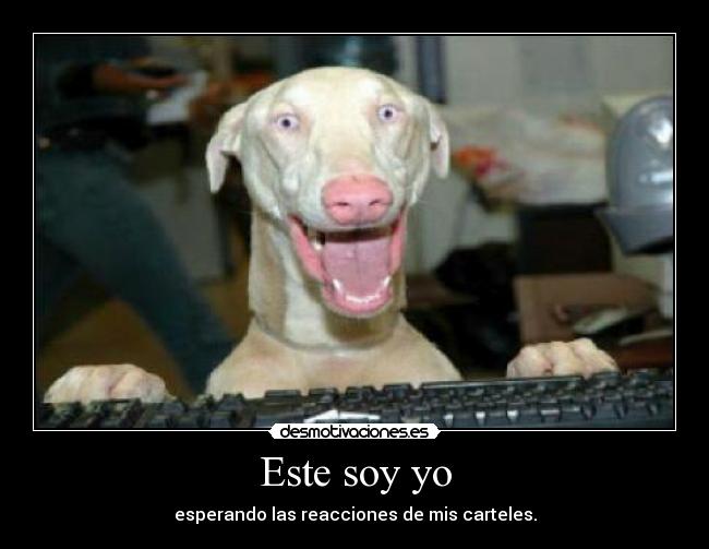 Este soy yo - esperando las reacciones de mis carteles.
