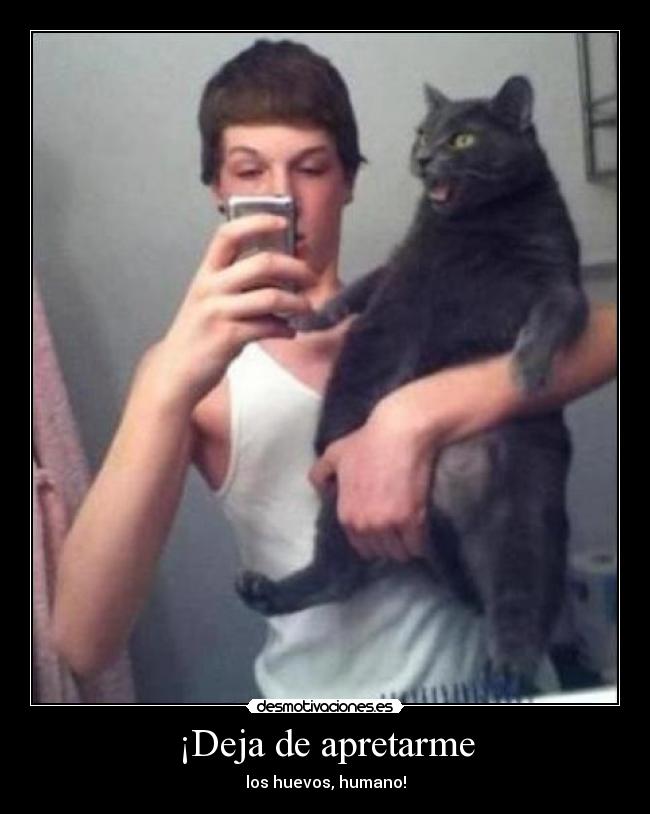 ¡Deja de apretarme - los huevos, humano!