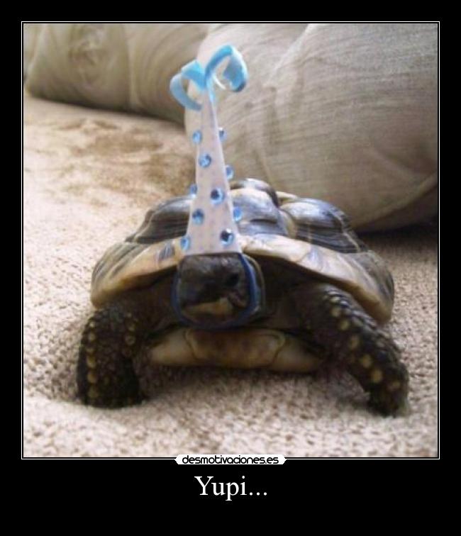 Yupi... - 