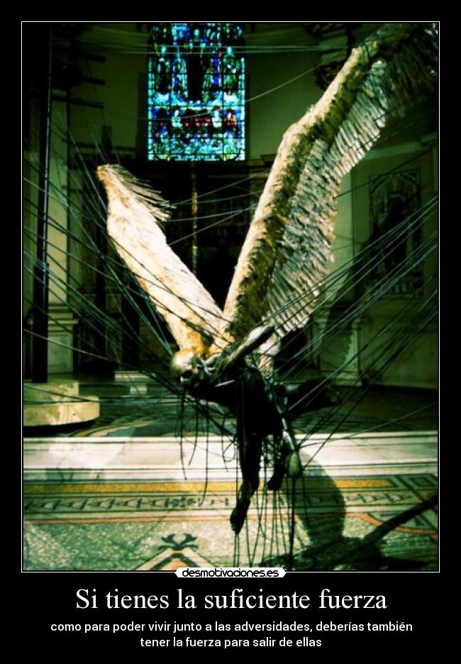 Si tienes la suficiente fuerza -