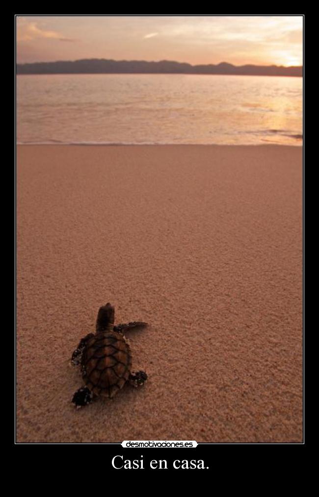 Casi en casa. -