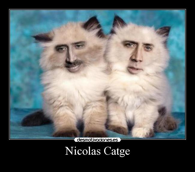 Nicolas Catge - 