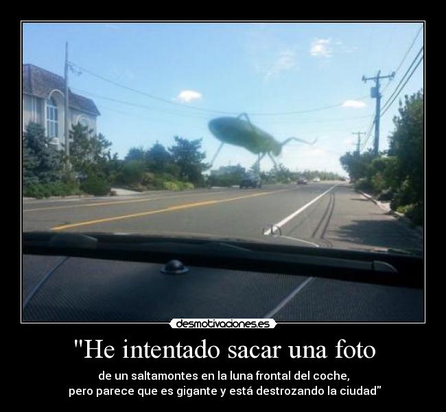 He intentado sacar una foto - de un saltamontes en la luna frontal del coche,
 pero parece que es gigante y está destrozando la ciudad