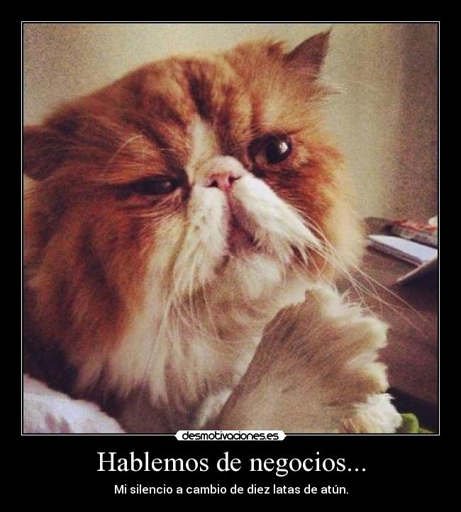 carteles str6u desmotivaciones