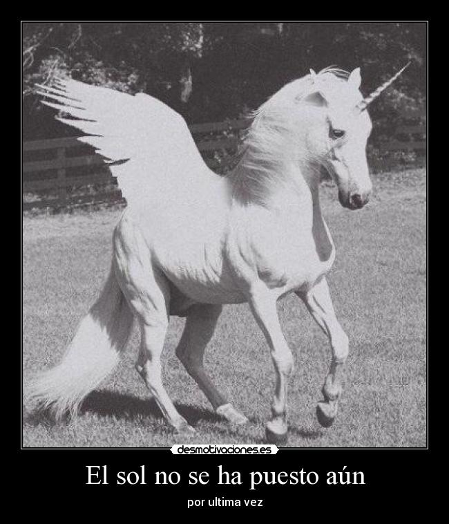 El sol no se ha puesto aún - por ultima vez