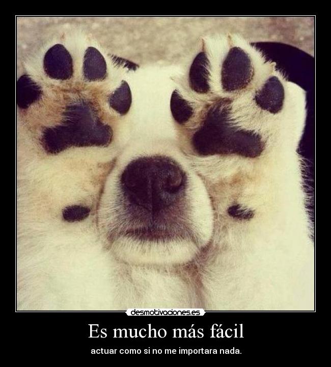 Es mucho más fácil -