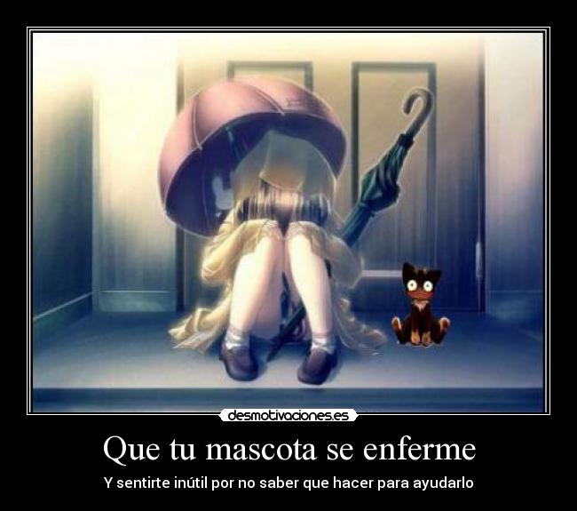 Que tu mascota se enferme -