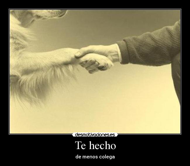 Te hecho - 