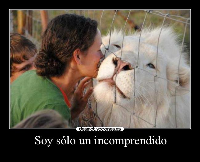 carteles asi somos todos pero encierran desmotivaciones