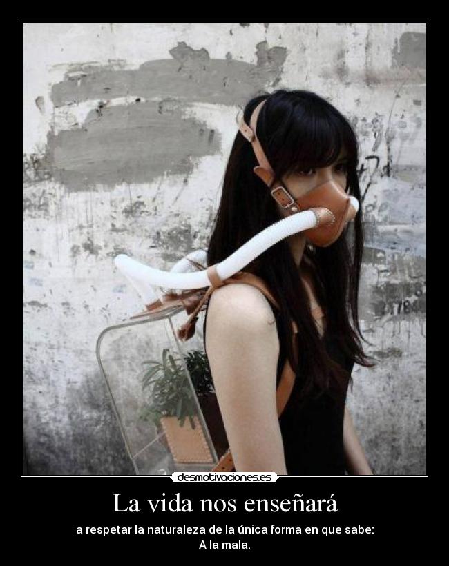 La vida nos enseñará - a respetar la naturaleza de la única forma en que sabe:
A la mala.