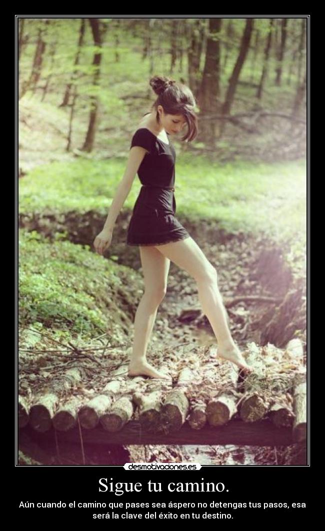 Sigue tu camino. - 