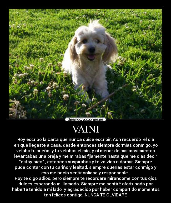 VAINI - 