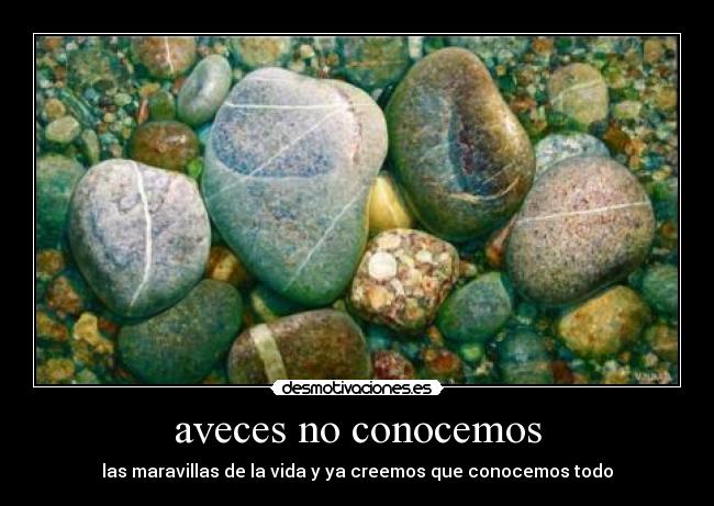 aveces no conocemos - las maravillas de la vida y ya creemos que conocemos todo