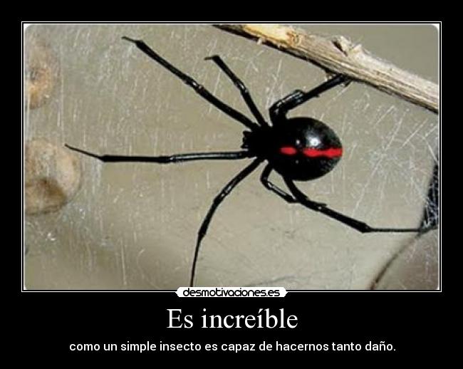 carteles muy venenosa desmotivaciones