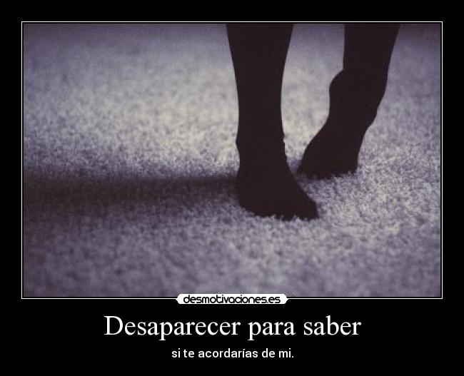Desaparecer para saber - 