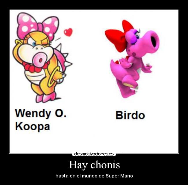 Hay chonis - 