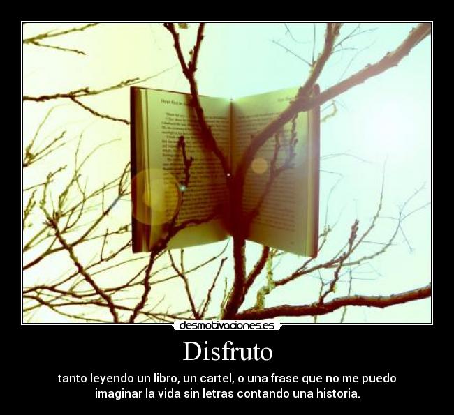 Disfruto - 
