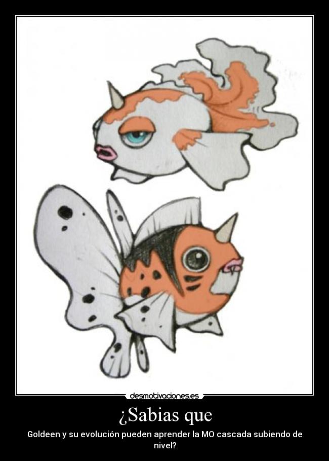 ¿Sabias que - Goldeen y su evolución pueden aprender la MO cascada subiendo de nivel?