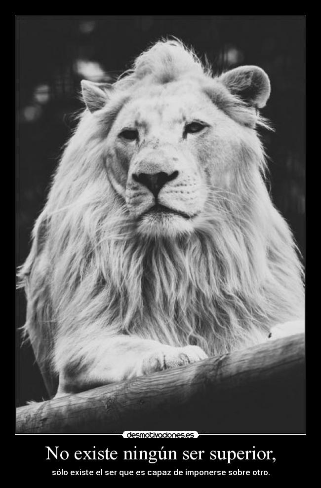 No existe ningún ser superior, - 
