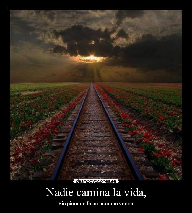 Nadie camina la vida, -