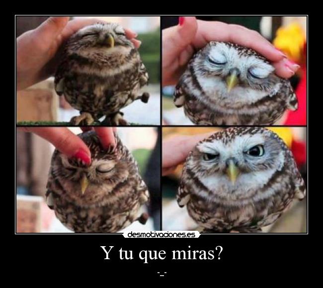 carteles naturaleza vida dios bendicion gracioso desmotivaciones