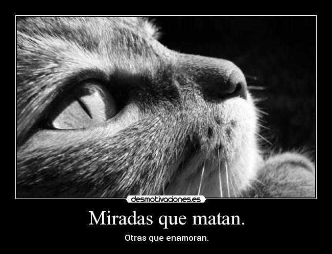 Miradas que matan. - Otras que enamoran.