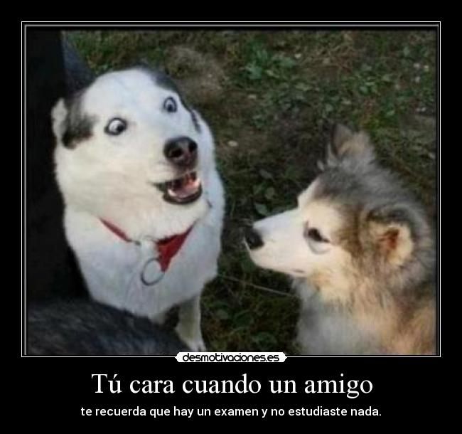 Tú cara cuando un amigo - te recuerda que hay un examen y no estudiaste nada.