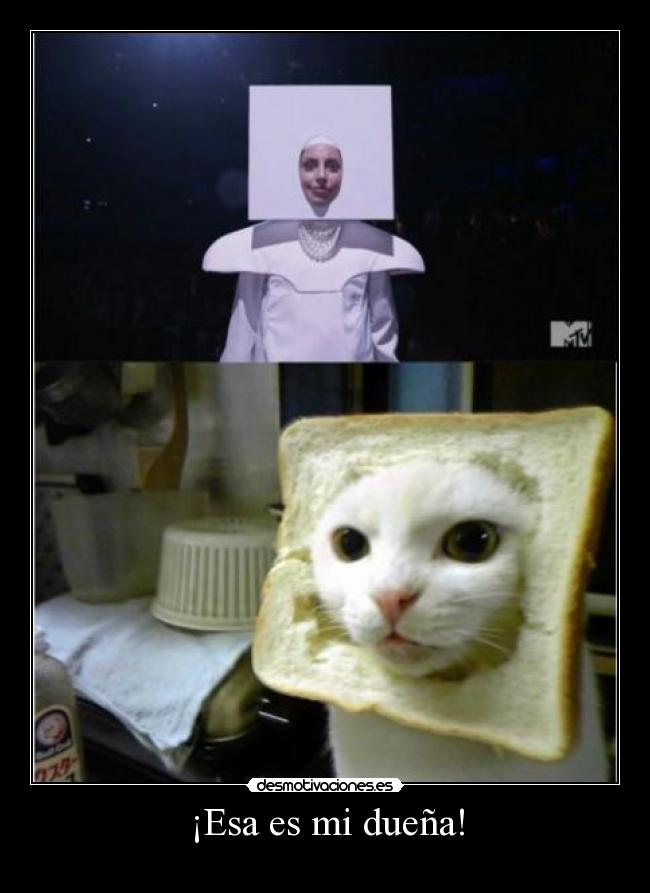 carteles dds desmotivaciones