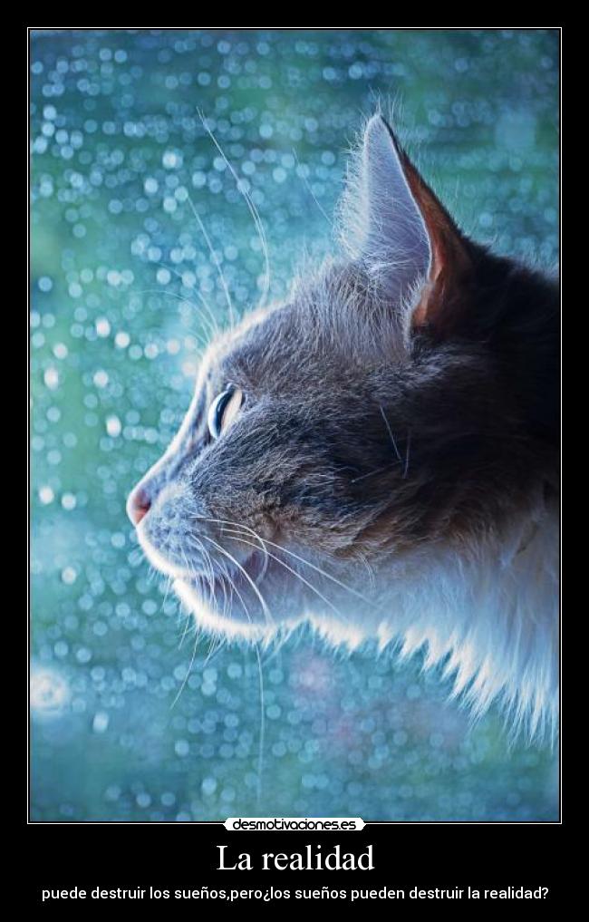 La realidad - puede destruir los sueños,pero¿los sueños pueden destruir la realidad?
