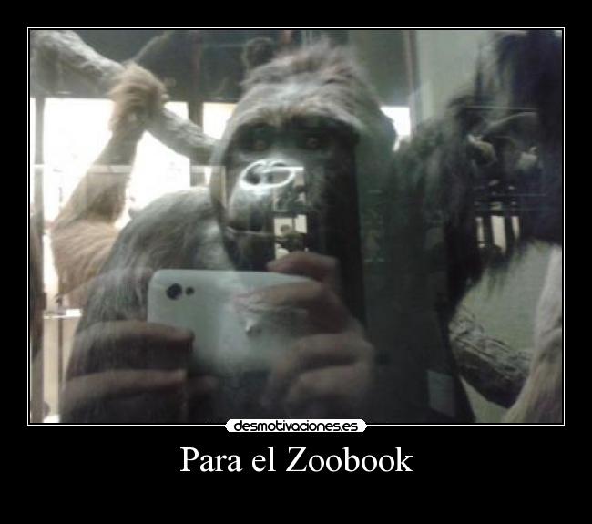Para el Zoobook -