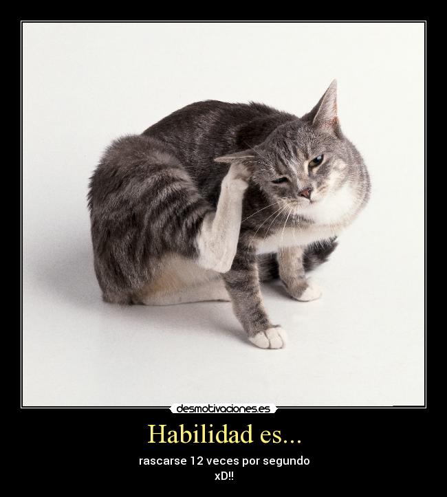 Habilidad es... - rascarse 12 veces por segundo
xD!!
