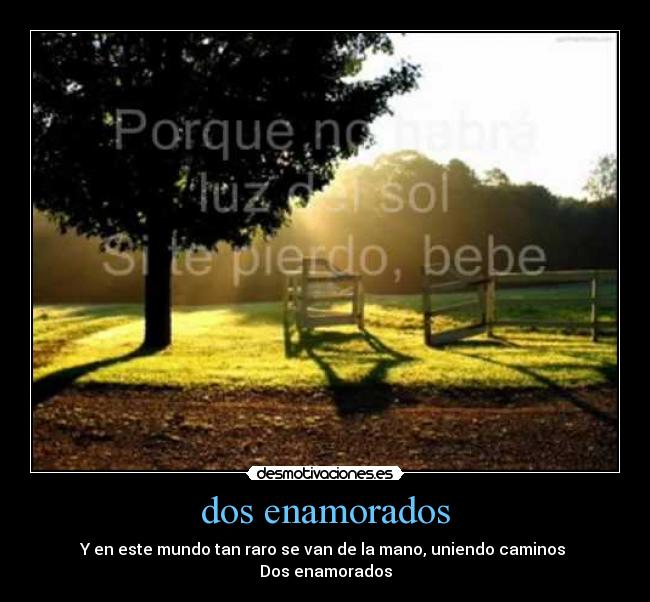 dos enamorados - Y en este mundo tan raro se van de la mano, uniendo caminos
Dos enamorados