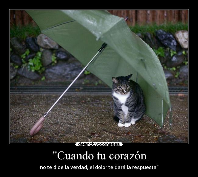 Cuando tu corazón - no te dice la verdad, el dolor te dará la respuesta