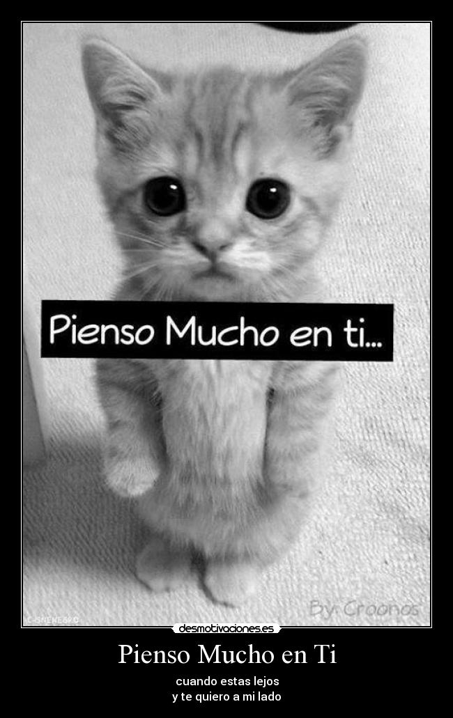 Pienso Mucho en Ti - cuando estas lejos
y te quiero a mi lado