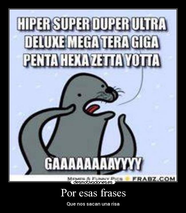 carteles frases memes foca desmotivaciones