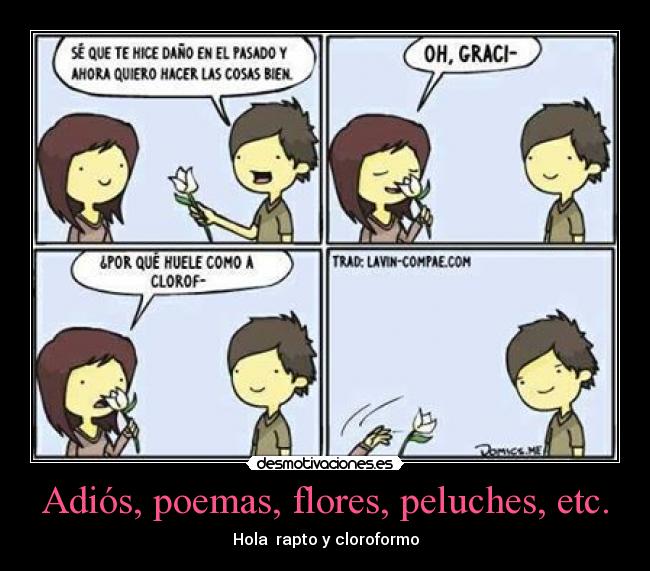 Adiós, poemas, flores, peluches, etc. -