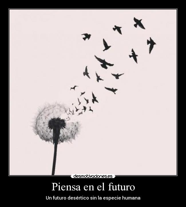 Piensa en el futuro -