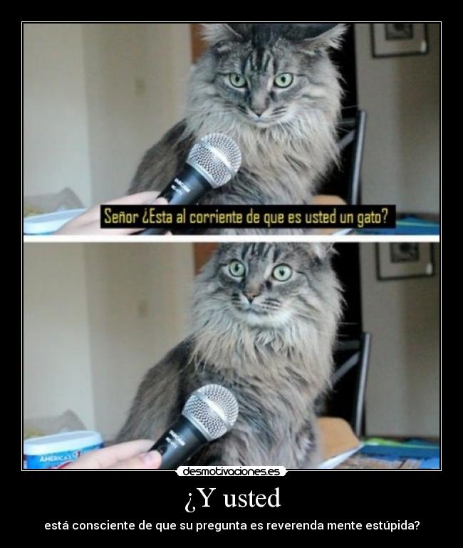 ¿Y usted - 
