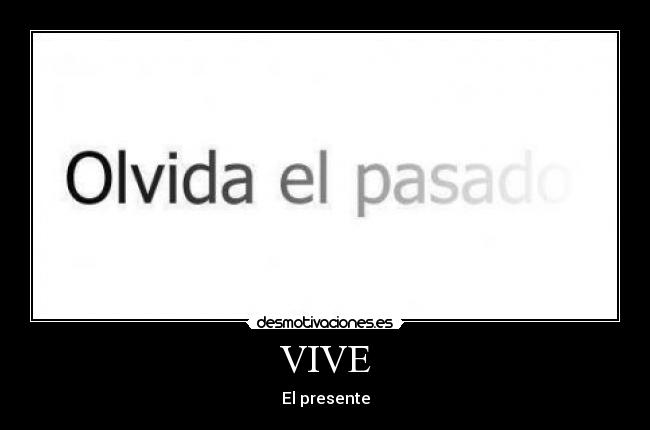 VIVE -